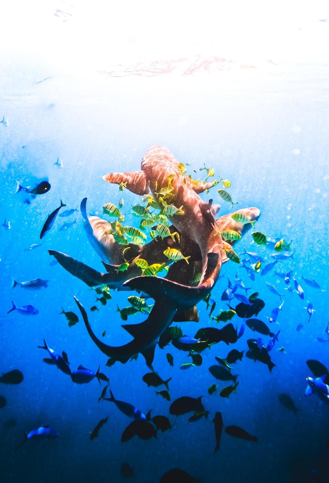 Aria Beach, Ukulhas エクステリア 写真